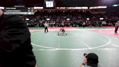 90 lbs Cons. Round 6 - Cole Palma, NBHA vs Landon Newbold, ATGA