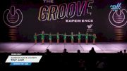 Rainbow Dance Academy - TINY JAZZ [2024 Tiny - Jazz Day 2] 2024 GROOVE Dance Grand Nationals