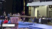 Mary Reichart - Women's Group, Triad Gymnastics - 2021 Women's Xcel Region 4 Championships
