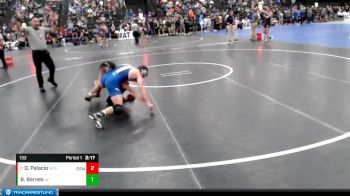 133 lbs Champ. Round 2 - Darian Palacio, Western Colorado University vs Brenden Barnes, Air Force