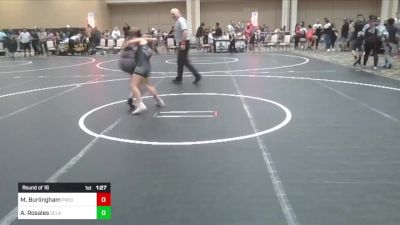 80 lbs Round Of 16 - Magdalena Burlingham, Predators WC vs Abbigaì Rosales, SelahFlo Vikings