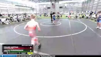 100 lbs Placement Matches (8 Team) - Collier Hartman, Pennsylvania Red vs Lincoln Sledzianowski, Florida