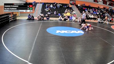 80 lbs Quarterfinal - Blake Fairman, Lions Den vs Parker Plummer, Mt. Pleasant