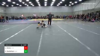 67 lbs Consolation - Liam Carey, Sarbacker Wrestling Academy vs Case Gustafson, Scorpions Fl