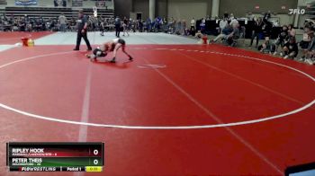 70 lbs Semis (4 Team) - Peter Theis, Holdingford vs Ripley Hook, Marshall/Lakeview/RTR