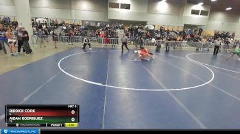 113 lbs Champ. Round 1 - Riddick Cook, IL vs Aidan Rodriguez, TX