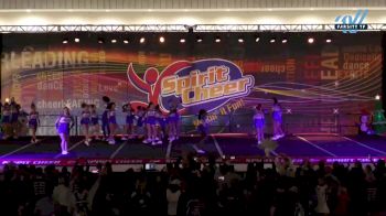 Cheer Florida All Stars - Medusa [2024 L3 Senior Coed Day 1] 2024 Spirit Cheer Dance Grand Nationals & Cheer Nationals