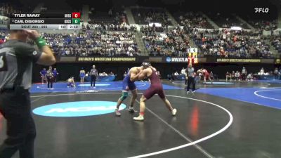 285 lbs Quarterfinal - Tyler Raway, Augsburg vs Carl DiGiorgio, Coast Guard