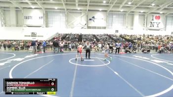 102 lbs Champ. Round 2 - Dominic Ellis, Webster Schroeder Youth Wrestling Club vs Daemon Tomasello, Quaker Wrestling Club