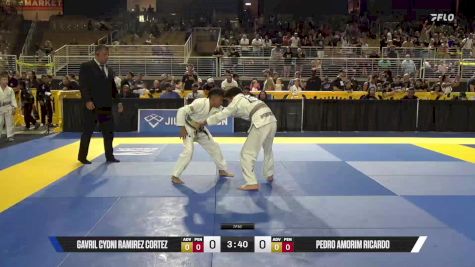 Pedro Amorim Ricardo vs Gavril Cydni Ramirez Cortez 2025 Pan Kids Jiu-Jitsu IBJJF Championship