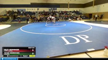 157 lbs Semifinal - Riley Hemminger, North Central vs Peter Desroches, Riverside
