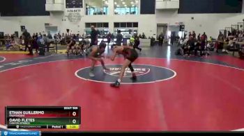 113 lbs Quarterfinal - David Fletes, Canyon Springs vs Ethan Guillermo, Palm Desert