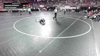 D1-126 lbs Champ. Round 1 - Alois Schlumpf, Bay Port vs Braeden Borreson, Franklin