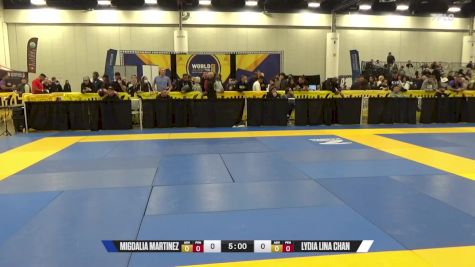 Lydia Lina Chan vs Migdalia Martinez 2024 World IBJJF Jiu-Jitsu No-Gi Championship