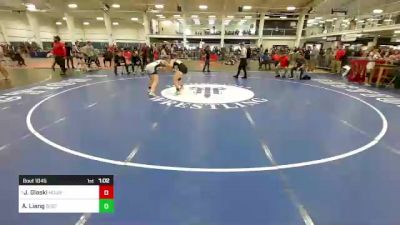 132 lbs Quarterfinal - Jillian Glaski, Mount Anthony VT vs Anjue Liang, Boston