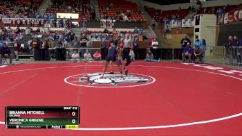 105 lbs Cons. Round 3 - Veronica Greene, Cimarron vs Brianna Mitchell, Baldwin