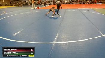 65 lbs Quarterfinals (8 Team) - Hayden Briggs, Worthington vs Brayden Hanna, Watertown-Mayer