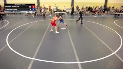 132 lbs Cons. Round 1 - Tanner Morvari, MN vs Colt Hoffman, WI