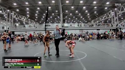 84 lbs Round 2 (8 Team) - Cole Palma Palma, Ohio Gold vs Henry Antrobus, Backyard Brawler