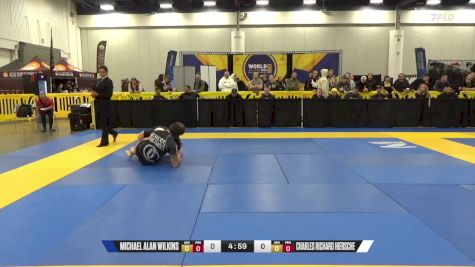 Charles Richard Hiersche vs Michael Alan Wilkins 2024 World IBJJF Jiu-Jitsu No-Gi Championship