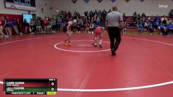 120 lbs Quarterfinal - Lilli Cooper, Denver vs Lanie Hanna, Saint Ansgar