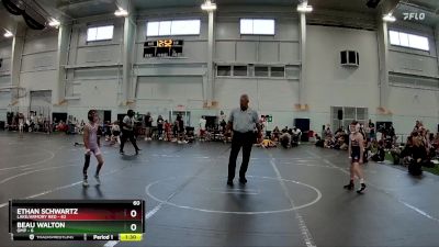 60 lbs Round 5 (6 Team) - Ethan Schwartz, Lake/Armory Red vs Beau Walton, OMP