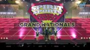 CheerForce Simi Valley - Cobras [2025 L2 Youth - Small - A Day 3] 2025 Spirit Sports Grand Nationals
