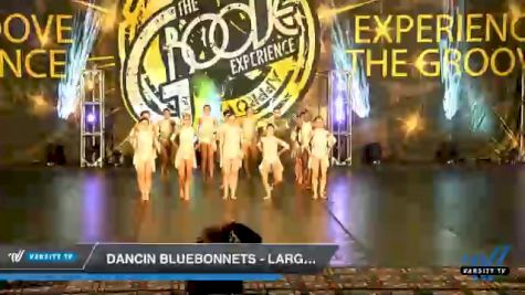 Dancin Bluebonnets - Large Jazz [2020 Junior - Jazz - Large Day 1] 2020 Encore Championships: Houston DI & DII