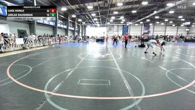 145 lbs Consi Of 32 #2 - Luke Howle, SC vs Leelan Baughman, PA