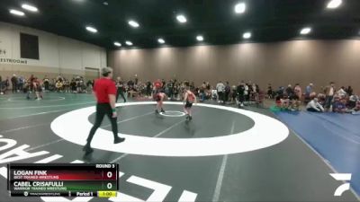 87-90 lbs Round 3 - Logan Fink, Best Trained Wrestling vs Cabel Crisafulli, Warrior Trained Wrestling