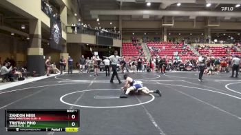 100 lbs Finals (2 Team) - Zandon Ness, Ridge Wrestling Club vs Tristian Pino, Duran Elite