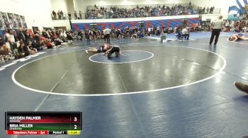 138 lbs Semifinal - Bria Miller, Lewiston vs Hayden Palmer, Moscow