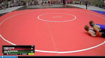 197 lbs Semis (4 Team) - Ash Blomstrom, Toledo vs Tobin Payne, Monroe