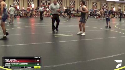 167 lbs Round 2 (6 Team) - Christopher Coleman, BlueWave 3 vs Nick Ciappa, Triumph WC Black