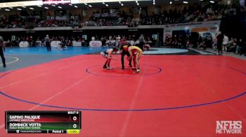 119 lbs Cons. Round 2 - Dominick Votta, Eagle River High School vs Sapino Palique, Lathrop Wrestling