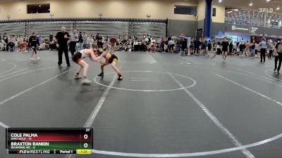 88 lbs Round 2 (4 Team) - Cole Palma, Ohio Gold vs Braxton Rankin, Richmond WC