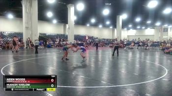 120 lbs Round 3 (6 Team) - Hudson Harlow, Nebraska Smash (Dev A) vs Aiden Woods, Franklin Black & Blue