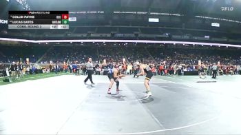 D1-215 lbs Cons. Round 2 - Lucas Bates, Hartland vs Collin Payne, Detroit Catholic Central