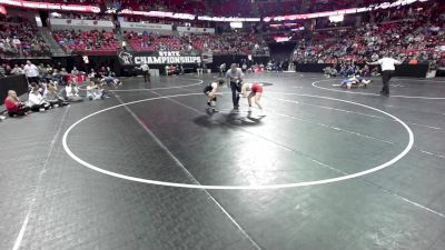 114 lbs Quarters - Taylor Whiting, Lena vs Brinley Miller, Brillion