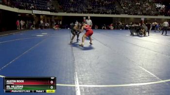 197 lbs Champ. Round 1 - Eil Villegas, Illinois Wesleyan vs Austin Roos, Central