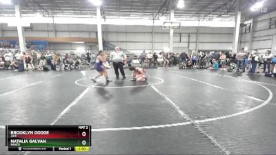 132 lbs Champ. Round 1 - Brooklyn Dodge, J.E.T. vs Natalia Galvan, Minico