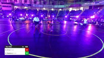 82 lbs Final - Arcadius Cruz, Team Aggression vs Xavier Seabury, Dynamic