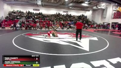 113 lbs 9th Place Match - Tagg Charity, Smoky Hill vs Mario Espinoza, Pueblo County