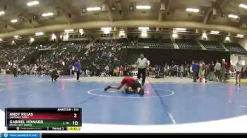 133 lbs Cons. Round 6 - Andy Rojas, Hastings (Neb.) vs Gabriel Howard, Briar Cliff (Iowa)