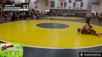 152 lbs 3rd Place Match - Milene Rios Ordonez, Hamilton West vs Genesis Cruz, Woodbridge