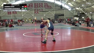 125 lbs Champ. Round 1 - Dominic Gangi, New England College vs Alexander Schaeublin, Trinity (CT)