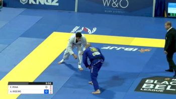 FELIPE PENA vs ALEXANDRE RIBEIRO 2018 World IBJJF Jiu-Jitsu Championship
