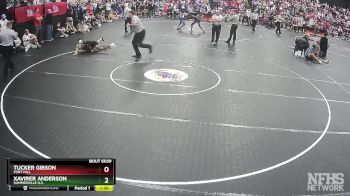 5A 126 lbs Semifinal - Tucker Gibson, Fort Mill vs Xavirer Anderson, Summerville H.s.