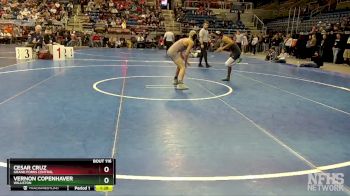 121 lbs Quarterfinal - Cesar Cruz, Grand Forks Central vs Vernon Copenhaver, Williston