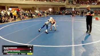 61 lbs Semifinal - Augustine Malecha, Waseca vs Blake Robinson, TMBWWG